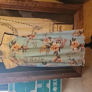 Fully lined Charlotte Russe dress